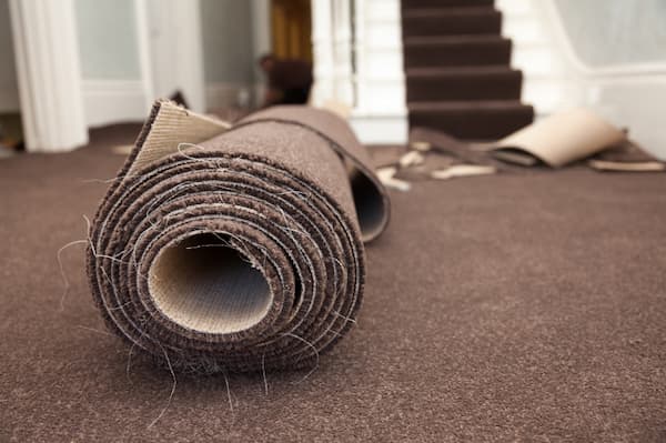 Carpet Fibers