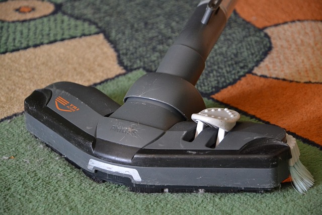 How Often Should You Vacuum