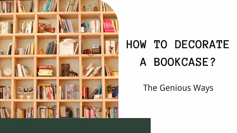 How to Decorate a Bookcase in Genious Ways