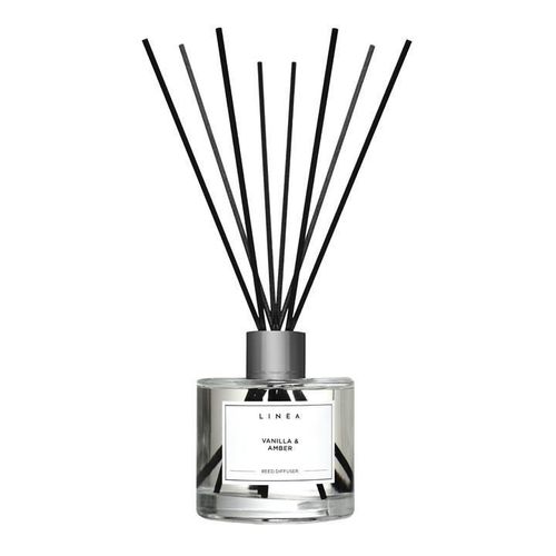 How to Make a Reed Diffuser? An Easy Step-by-step Guide