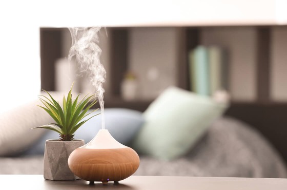 How to Use An Essential Oil Diffuser In the Right Way?