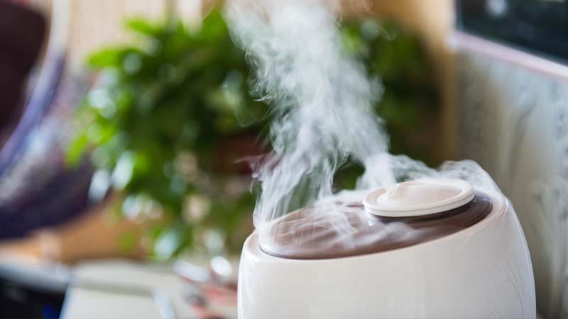 How to Use a Humidifier An Easy Step-by-step guide