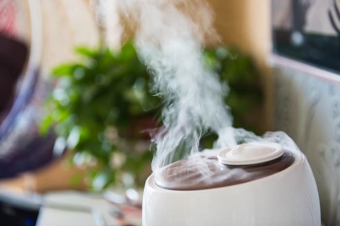 Tips for Using a Humidifier in Your Home