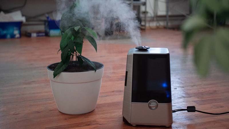 Where to Put Humidifiers Basic Guidelines