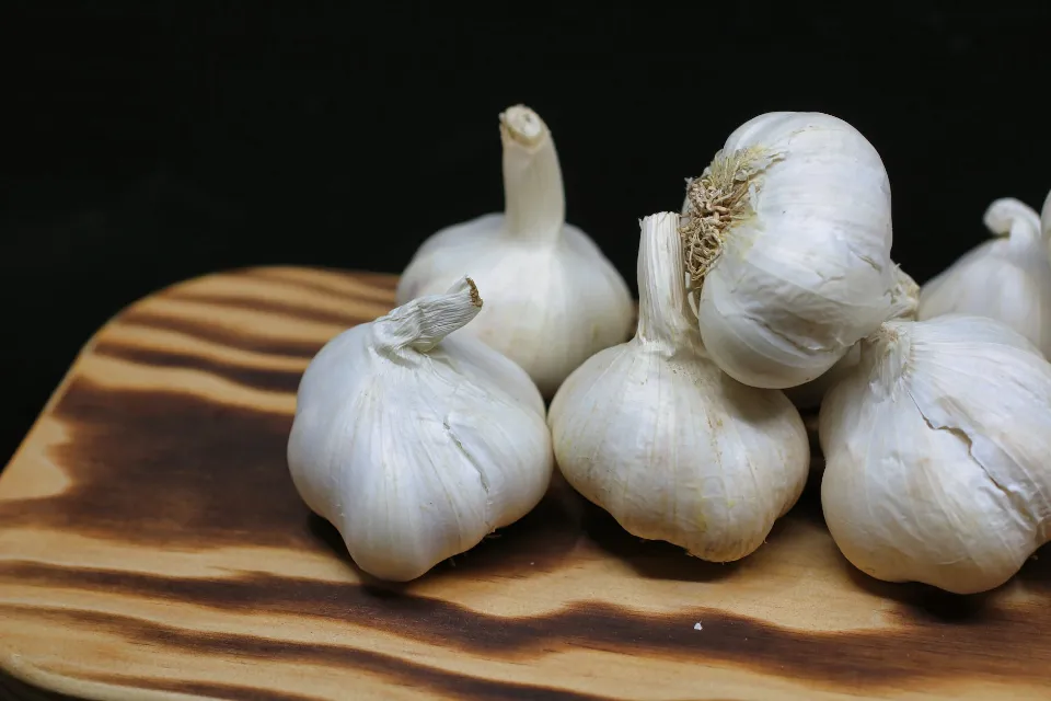 How to Store Garlic in the Proper Way