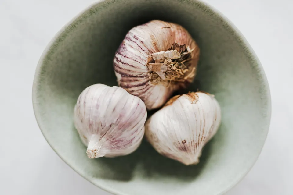 How to Store Garlic in the Proper Way