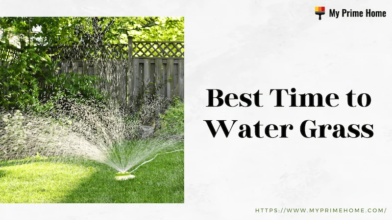 Best Time to Water Grass: Follow the Ultimate Guide