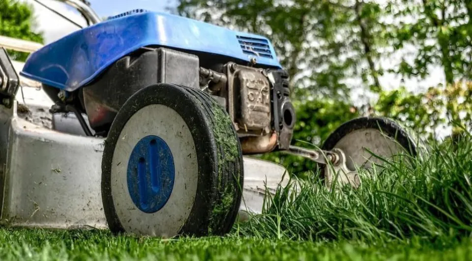 Can You Mow Wet Grass? Why You Shouldn't Mow Wet Grass?