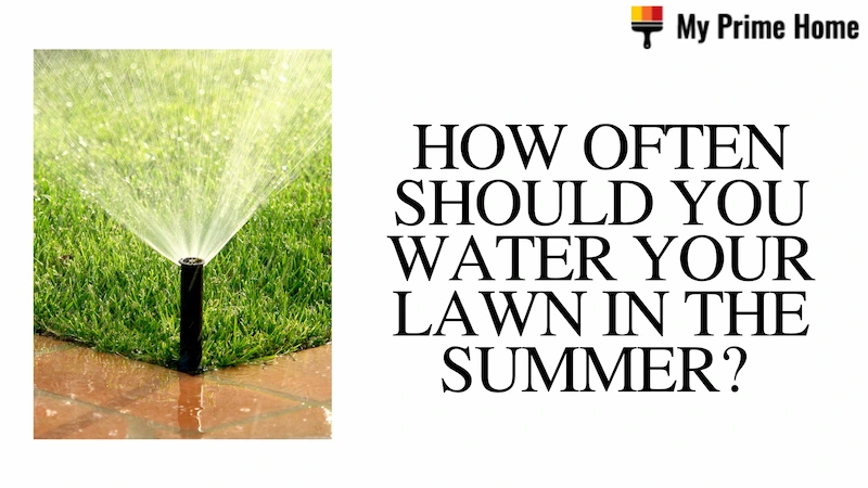 How Often Should You Water Your Lawn in the Summer? The Best Time to Water