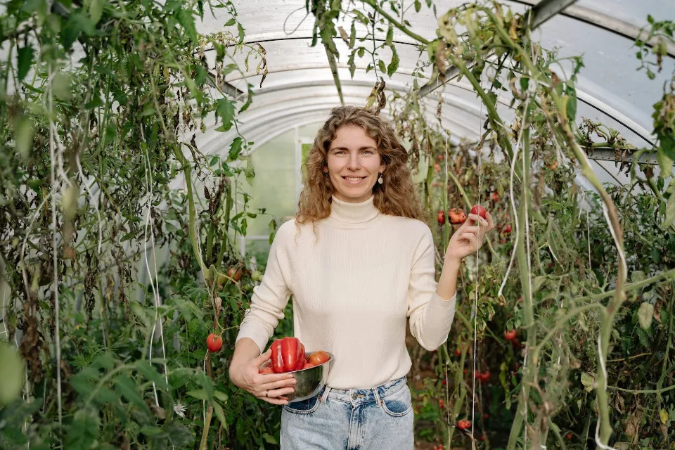 How Often to Water Tomato Plants? Follow the Tops Tips