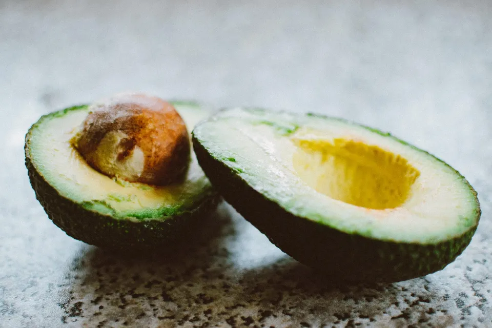 How to Plant An Avocado from Seed? Check the Ultimate Guide