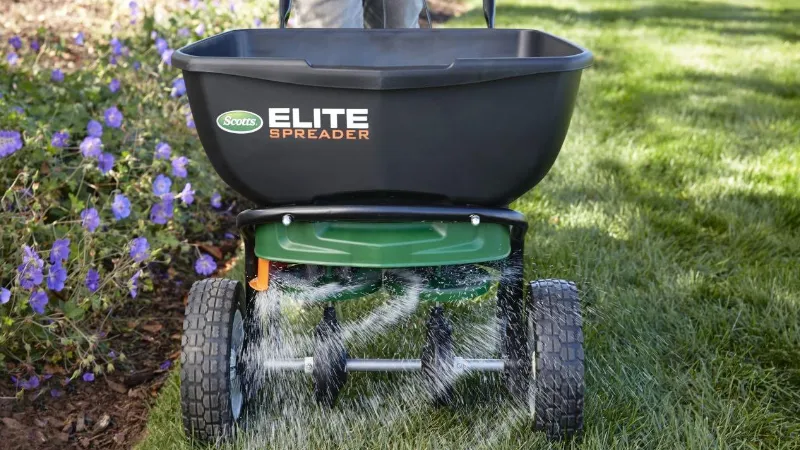 How to Plant Grass Seed on Existing Lawns? Follow the Guide