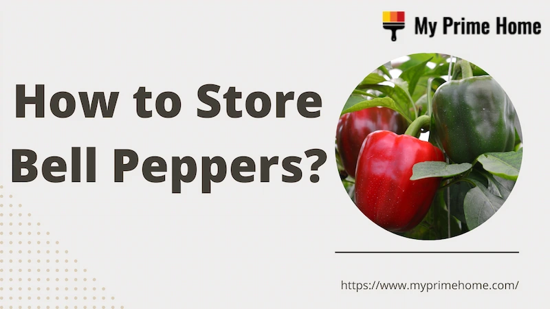 How to Store Bell Peppers to Keep Them Last Longer?
