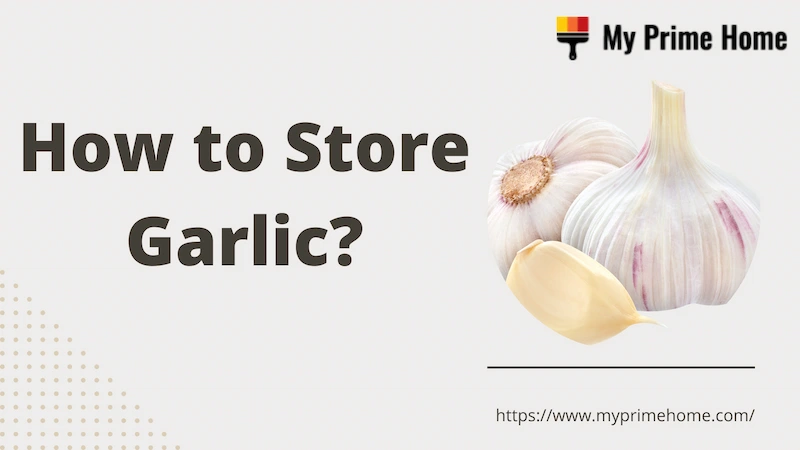 How to Store Garlic in the Proper Way?