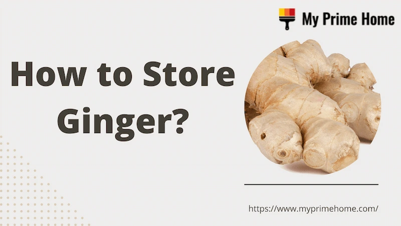 How to Store Ginger in the Best Way? Tips and Tricks