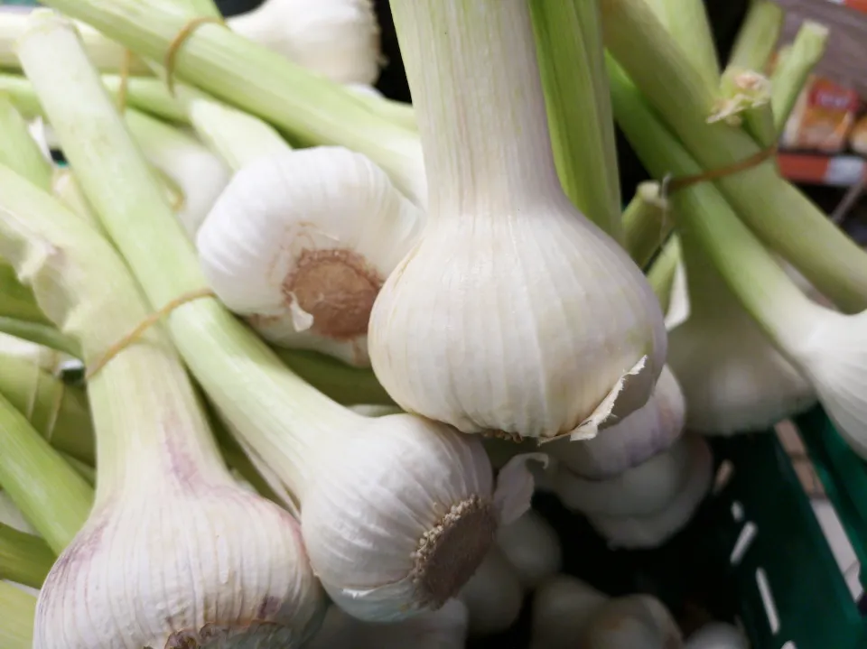 How to Store Onions to Keep Them Last Longer?