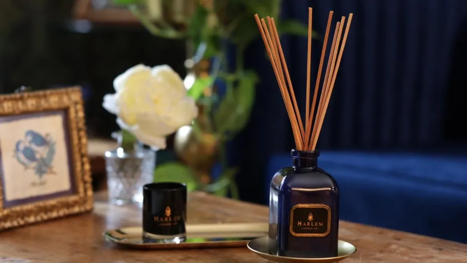 What is a Diffuser? How to Use? All You Want to Know