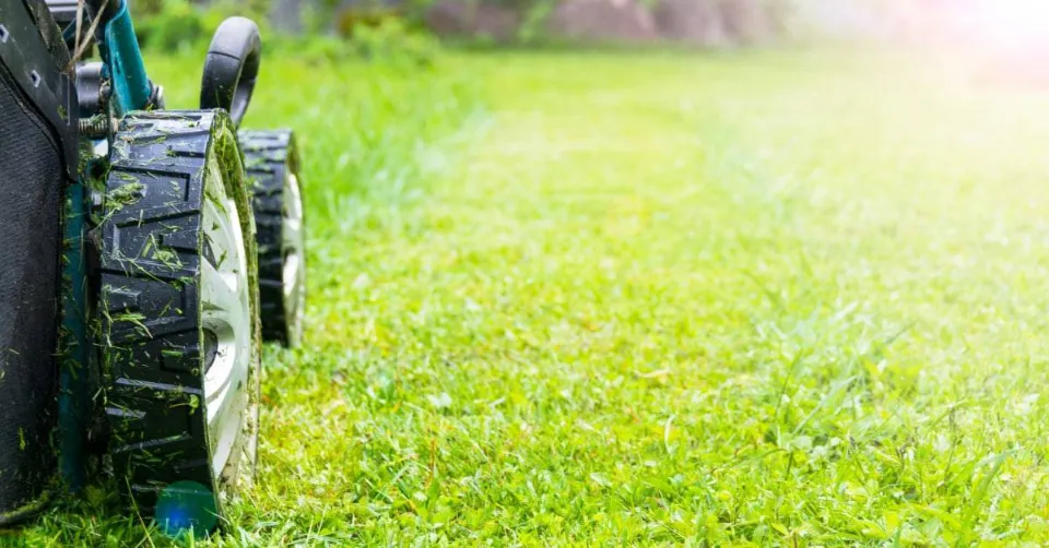 Can You Mow Wet Grass? Why You Shouldn't Mow Wet Grass?