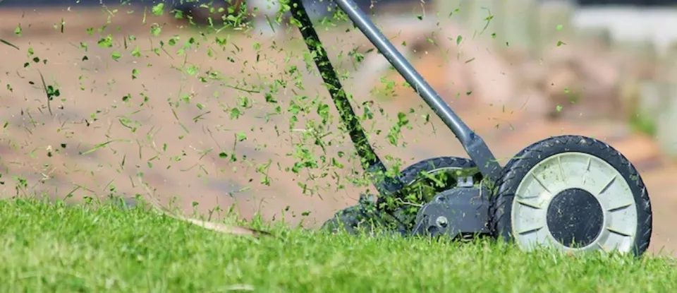 Can You Mow Wet Grass? Why You Shouldn't Mow Wet Grass?