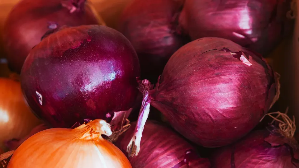 How to Store Onions to Keep Them Last Longer?