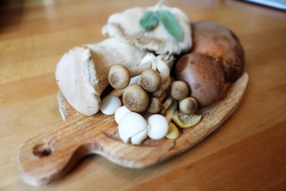 How to Store Mushrooms to Keep Them Fresh and Slime?