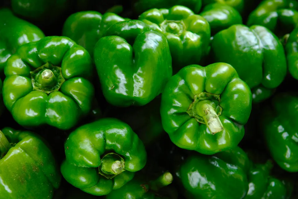 How to Store Bell Peppers to Keep Them Last Longer?