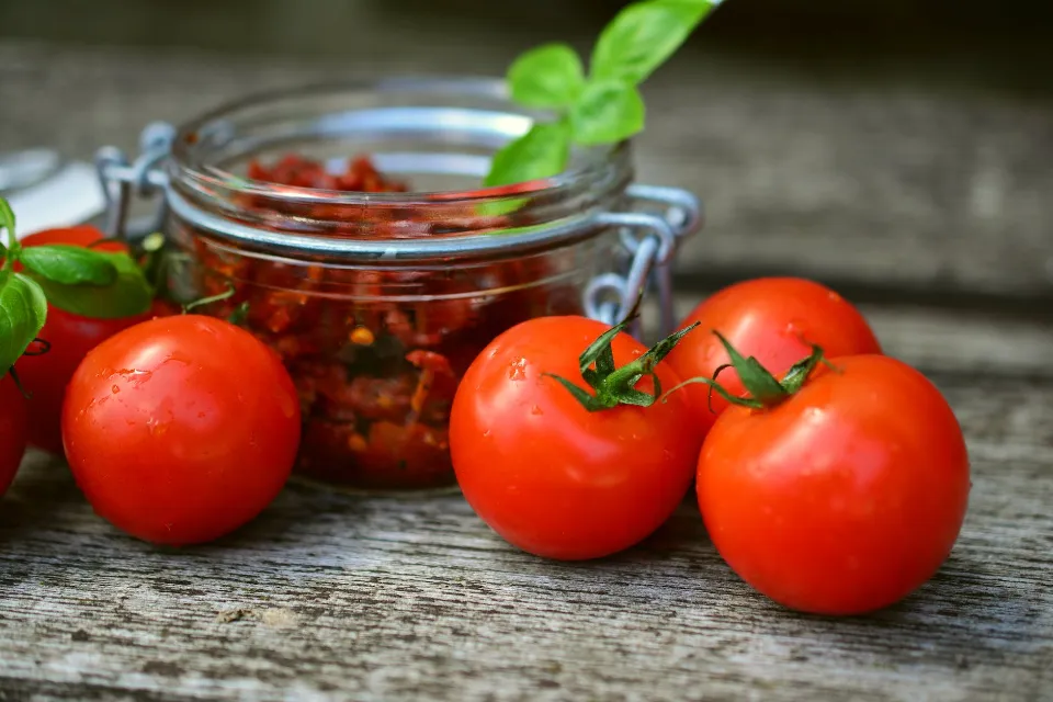 When to Plant Tomatoes? the Best Time to Plant Tomatoes