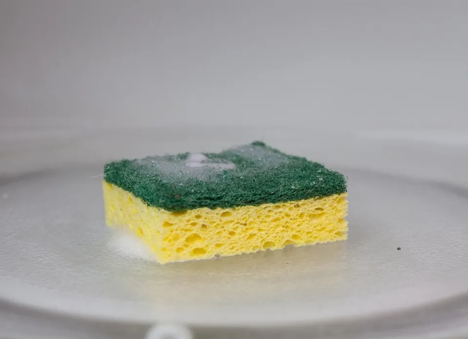 How to Clean a Sponge in the Microwave? All Explored