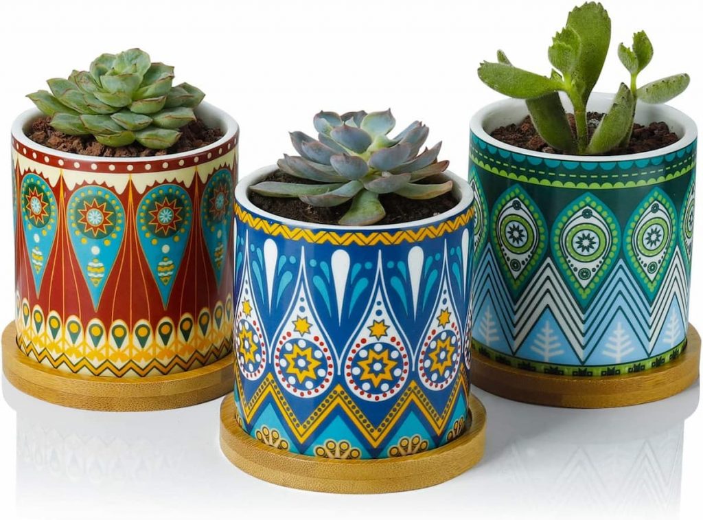 Best Decorative Greenaholics Succulent Planter Pots 3-Inch Mandala