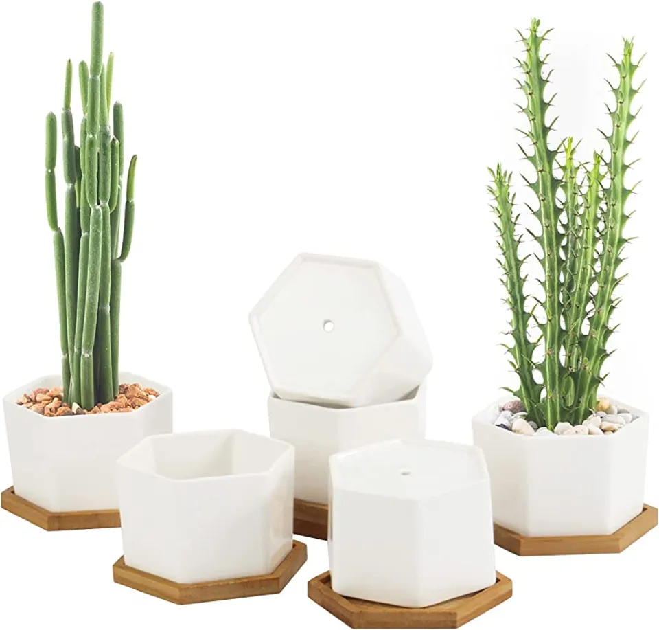 Best Geometric: OAMCEG 4-Inch Succulent Planters, Set of 6