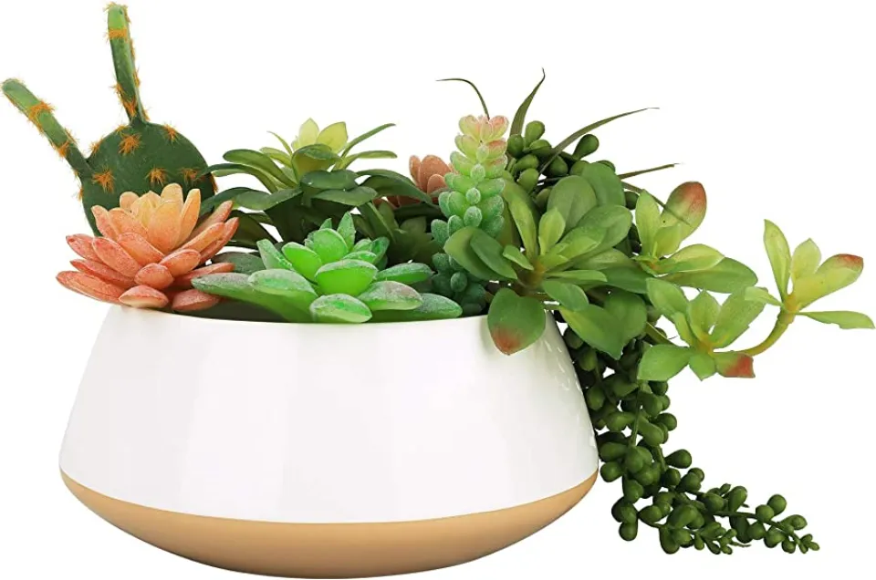 Best Large: La Jolíe Muse Large Succulent Planter Pots