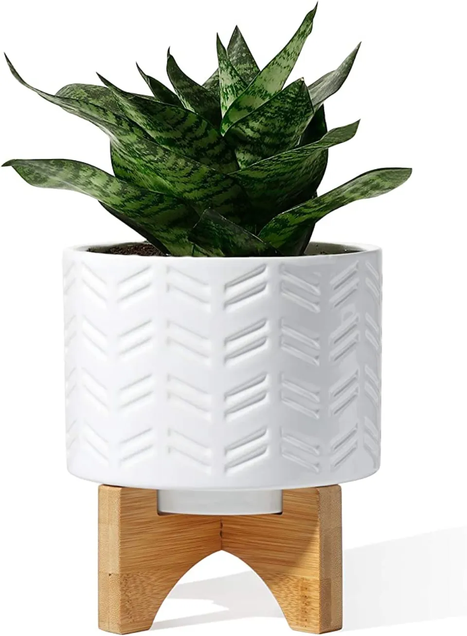 Best with Stand: Potey Mid Century Ceramic Pot With Wood Stand