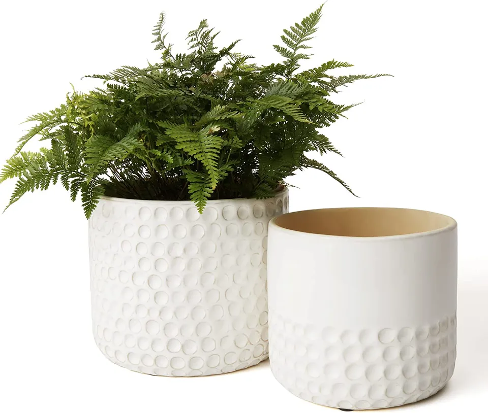 Best Style: La Jolie Muse Ceramic Pots