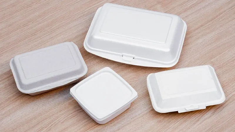 Can You Microwave Styrofoam? Is It Safe?