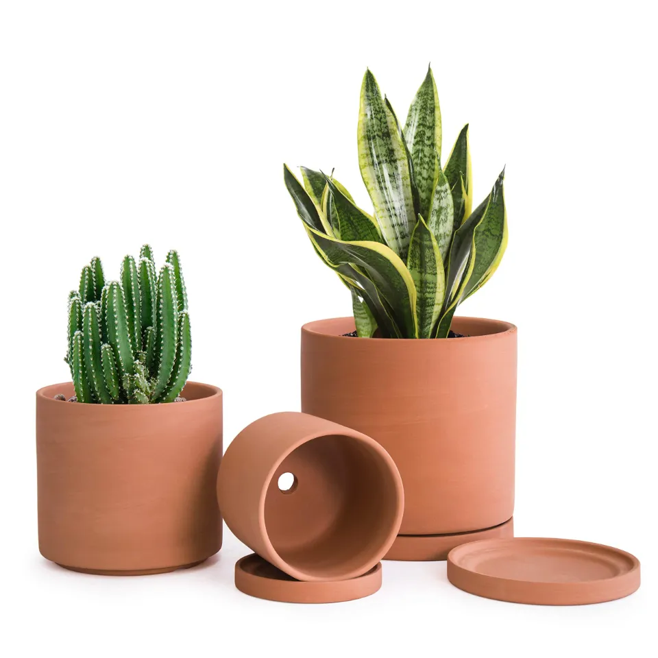 Best Terra Cotta: D'vine Dev Terracotta Pots for Plants
