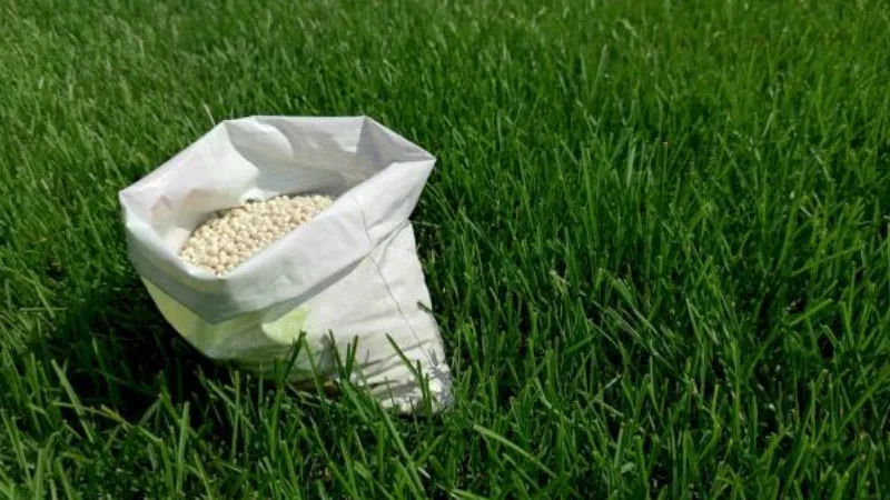 How Long Does Grass Seed Last in a Bag? the Answer Is…