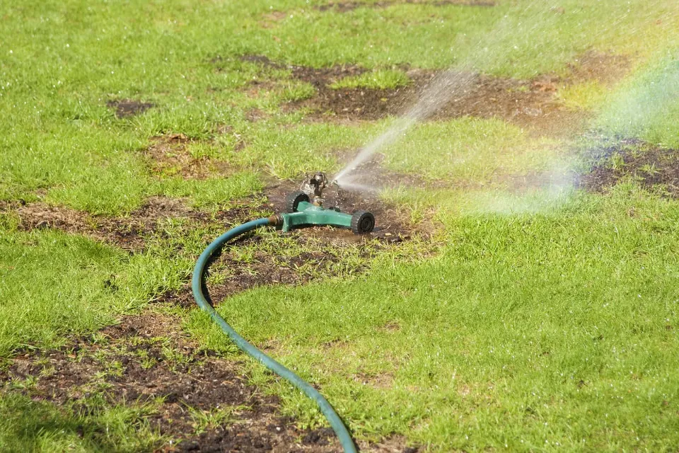 How Often to Water New Grass Seed Watering New Grass Seed