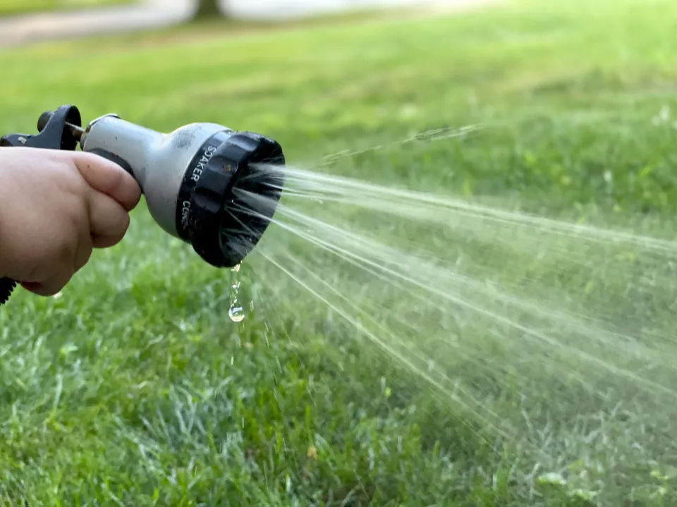 How Often to Water New Grass Seed Watering New Grass Seed