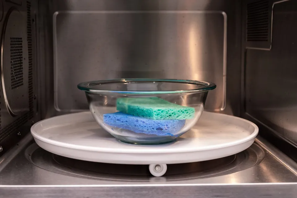 How to Clean a Sponge in the Microwave? All Explored