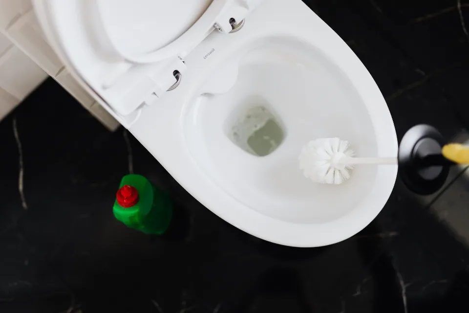 How to Remove a Toilet Yourself? Step-by-step