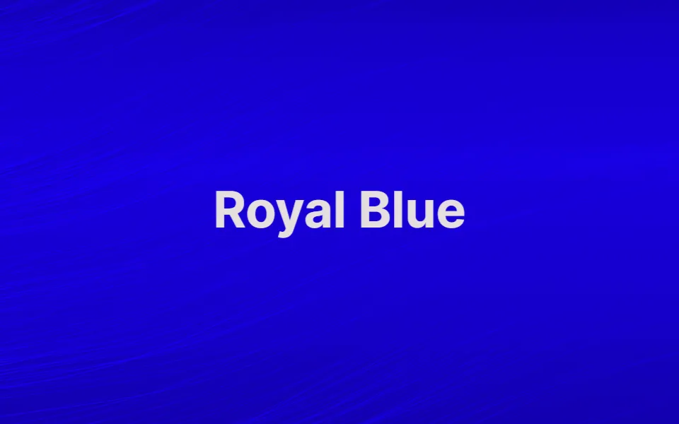 Navy Vs Royal Blue: What Are the Differences?