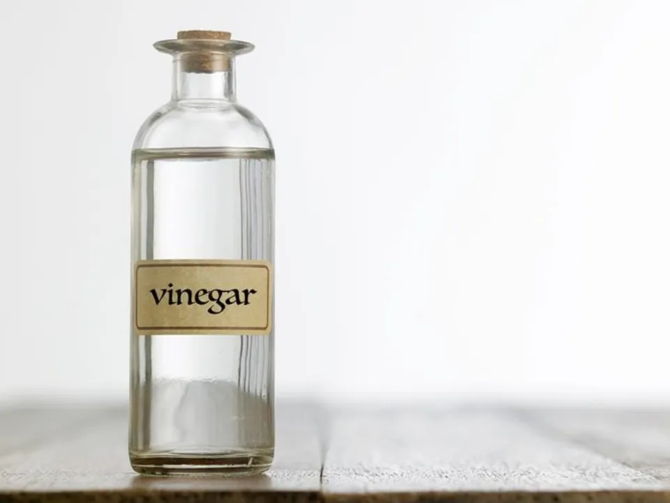 Vinegar