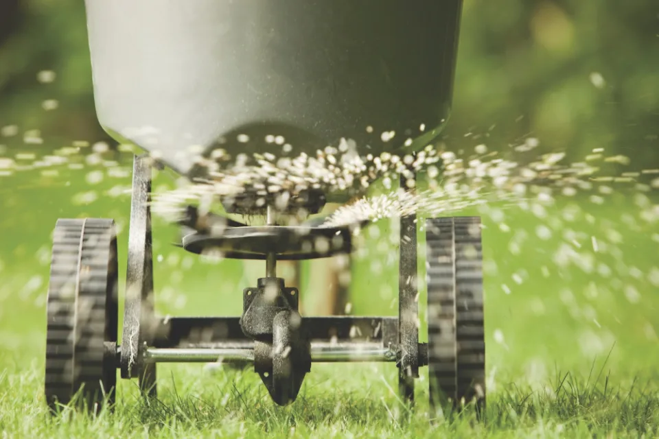 How Often to Water New Grass Seed Watering New Grass Seed