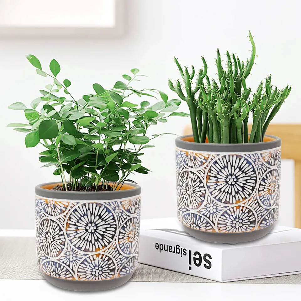 Best Bang for the Buck: Vivimee 2 Pack Ceramic Plant Pots