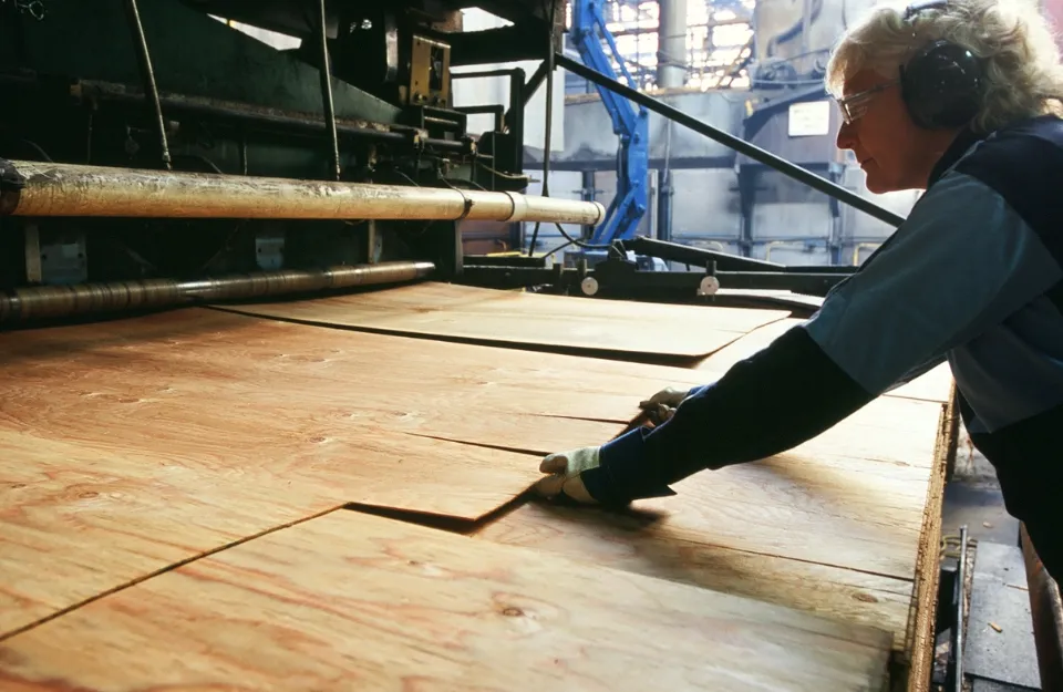 What is Plywood? How is Plywood Made? & Types