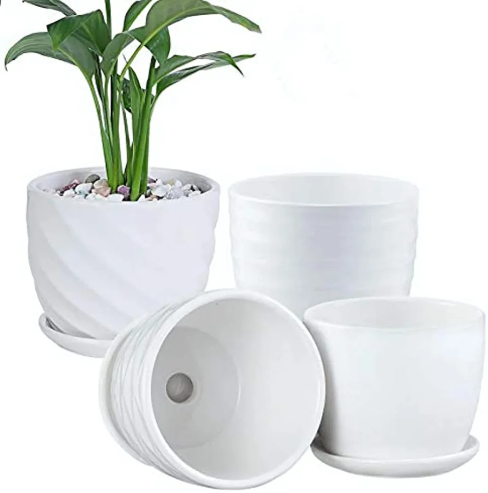 Best Overall: Brajttt 4-Inch Cylinder Ceramic Flower Pots